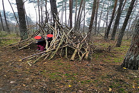 Im Wald